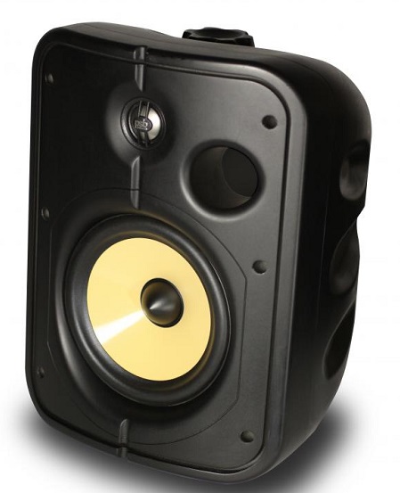 PSB CS1000 Universal In-Outdoor Speakers (black)(pair) - Click Image to Close